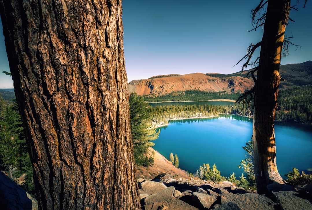 Mammoth Lakes