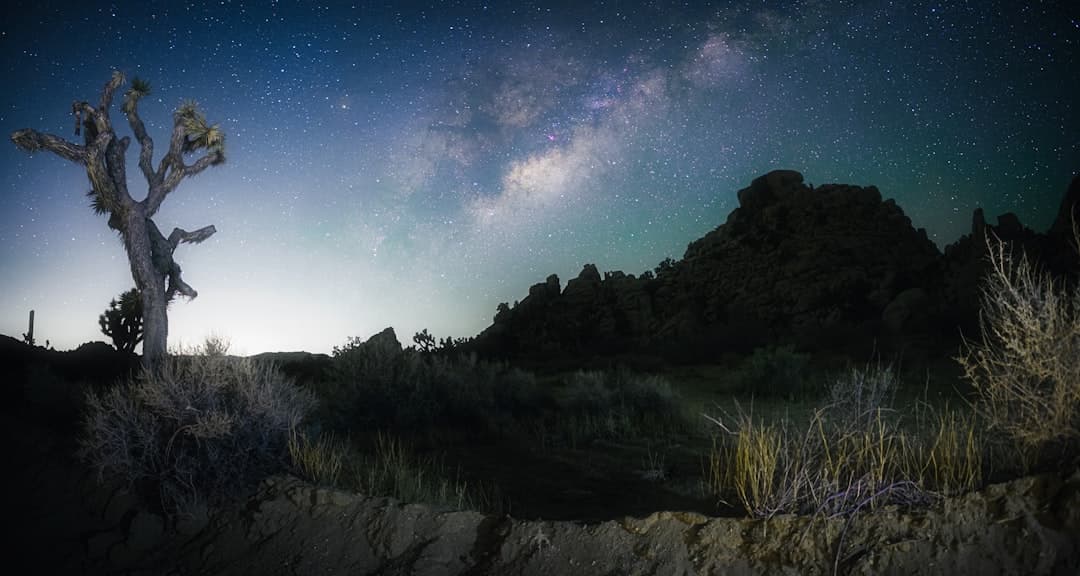 Stargazing near Ridgecrest — World-Class Dark Skies