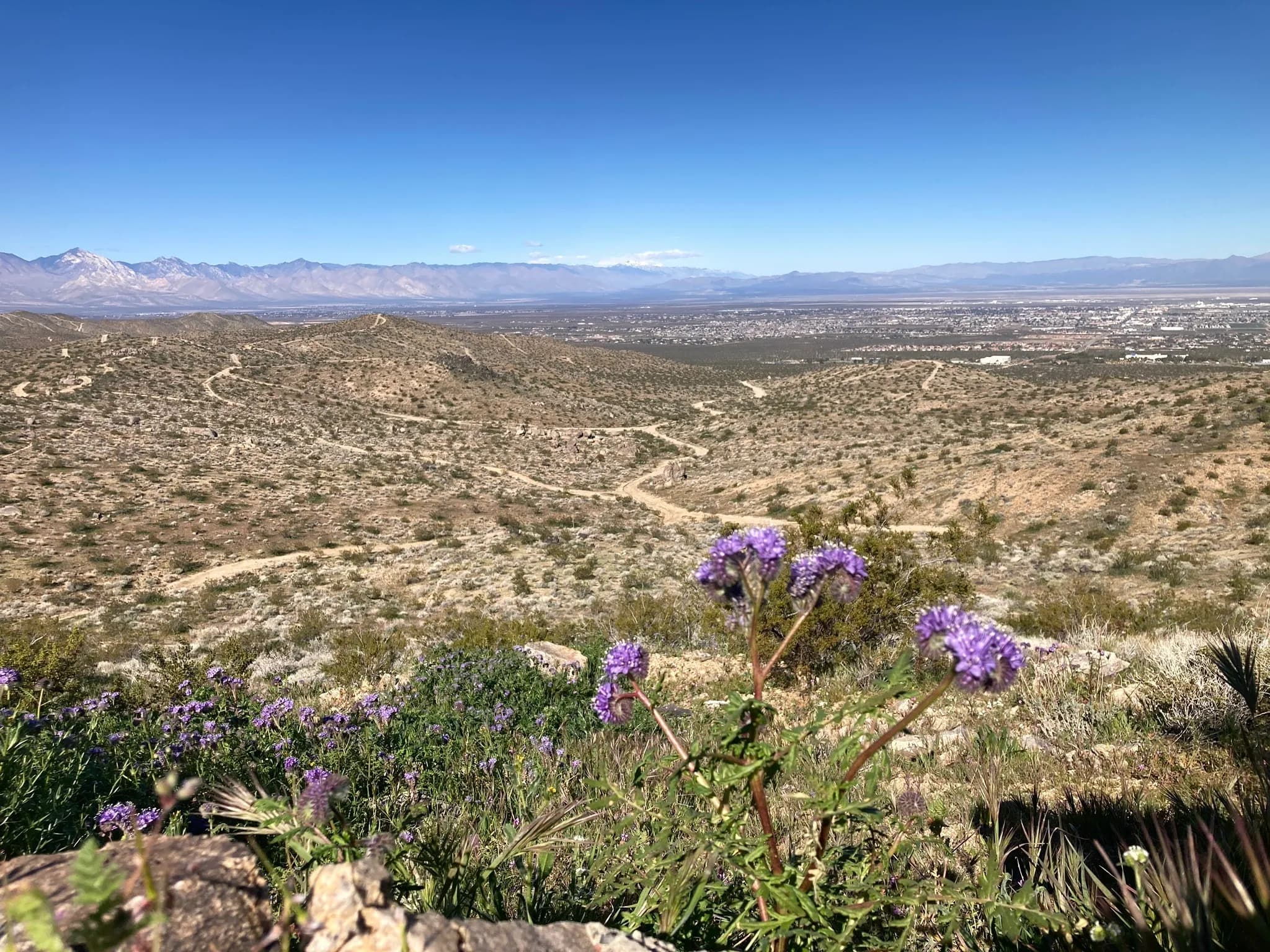 College Boulevard Loop