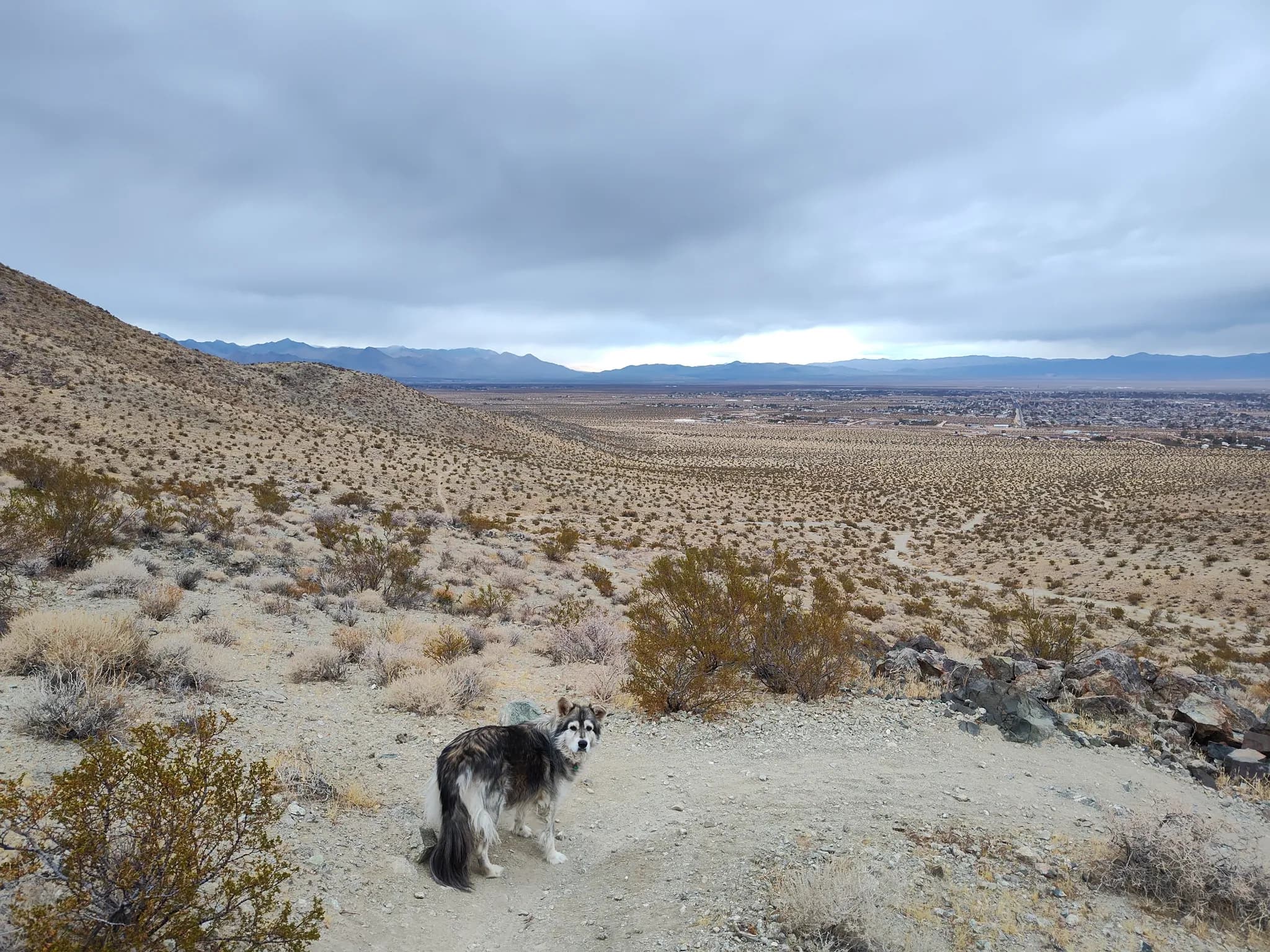 Desert trail winding through the hills near Ridgecrest, California