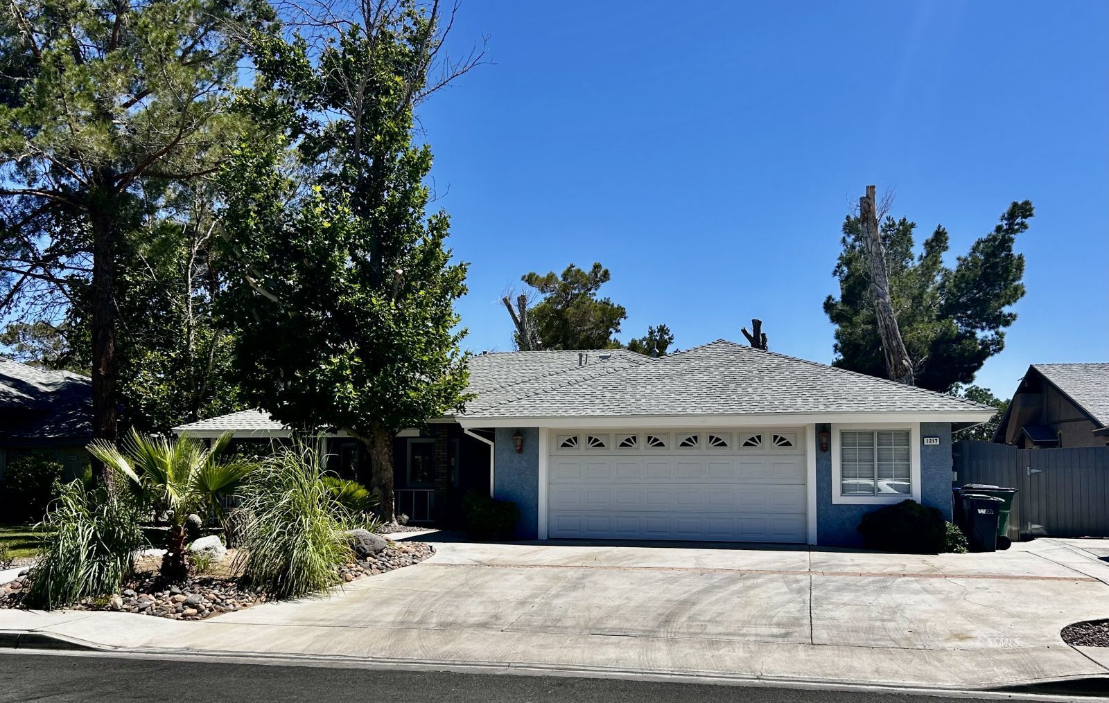 1217 Tamarisk
