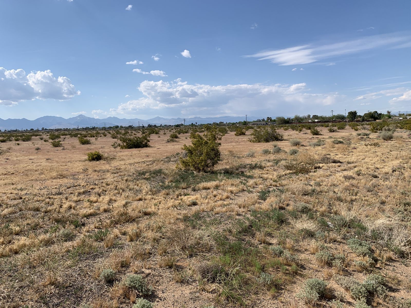 509-090-30 Bowman — Photo 3