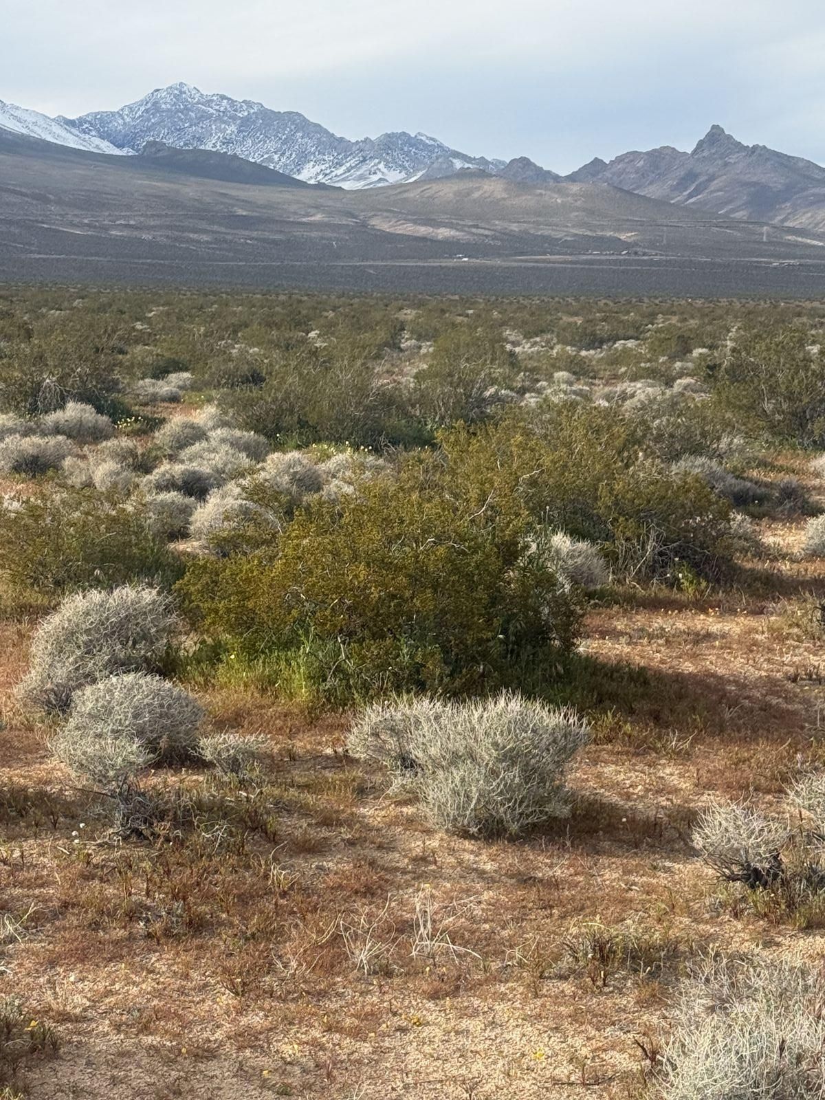 Freeman RD — Photo 3