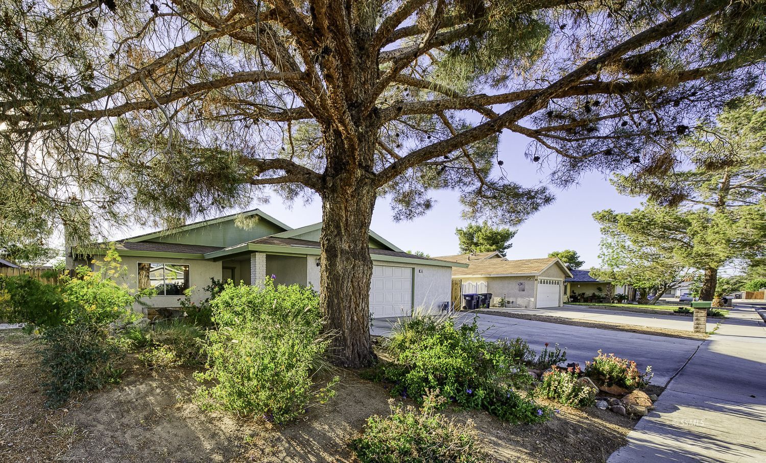 513 S Appaloosa ST — Photo 3