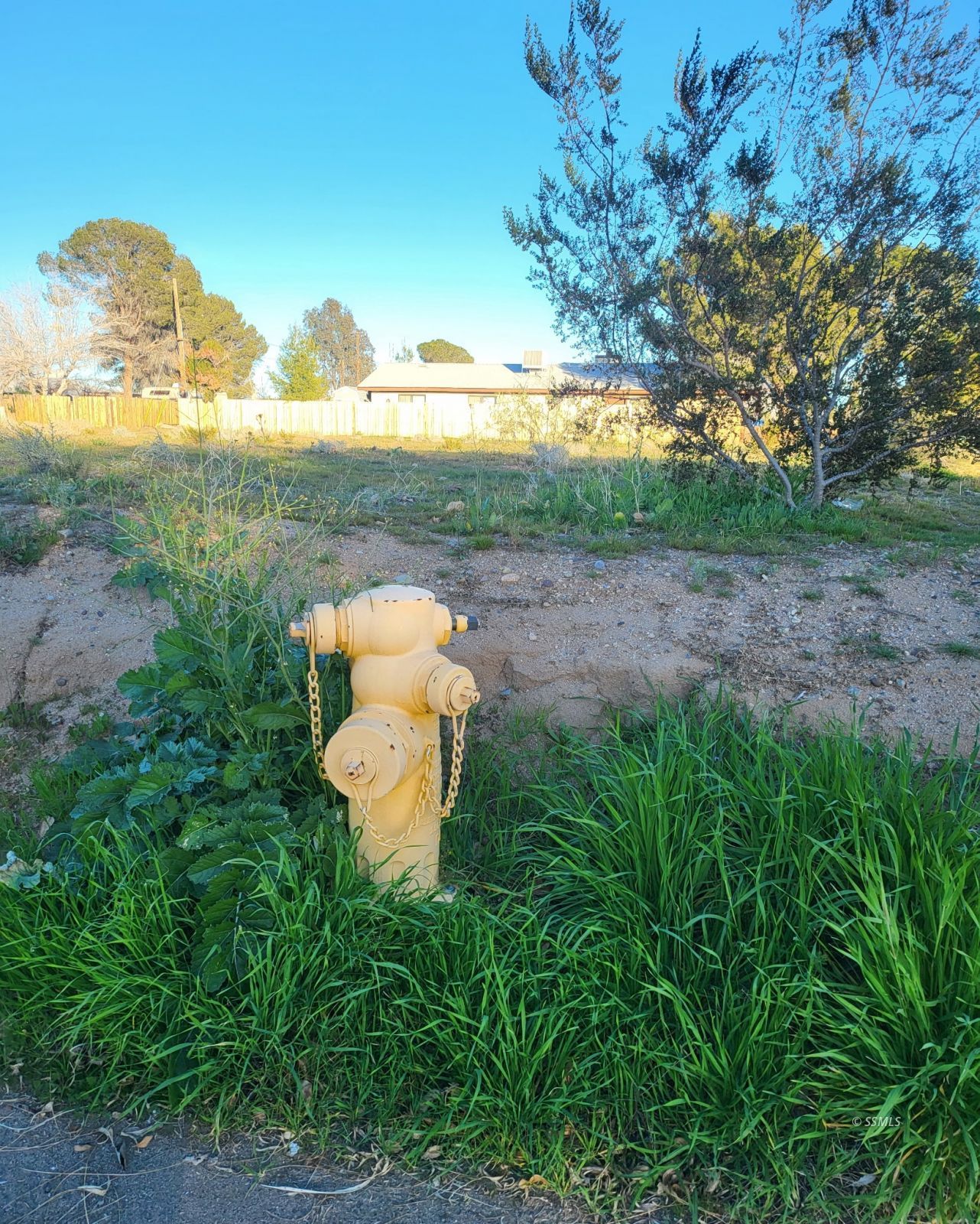 N Downs St. &amp; Perdew Ave. — Photo 4