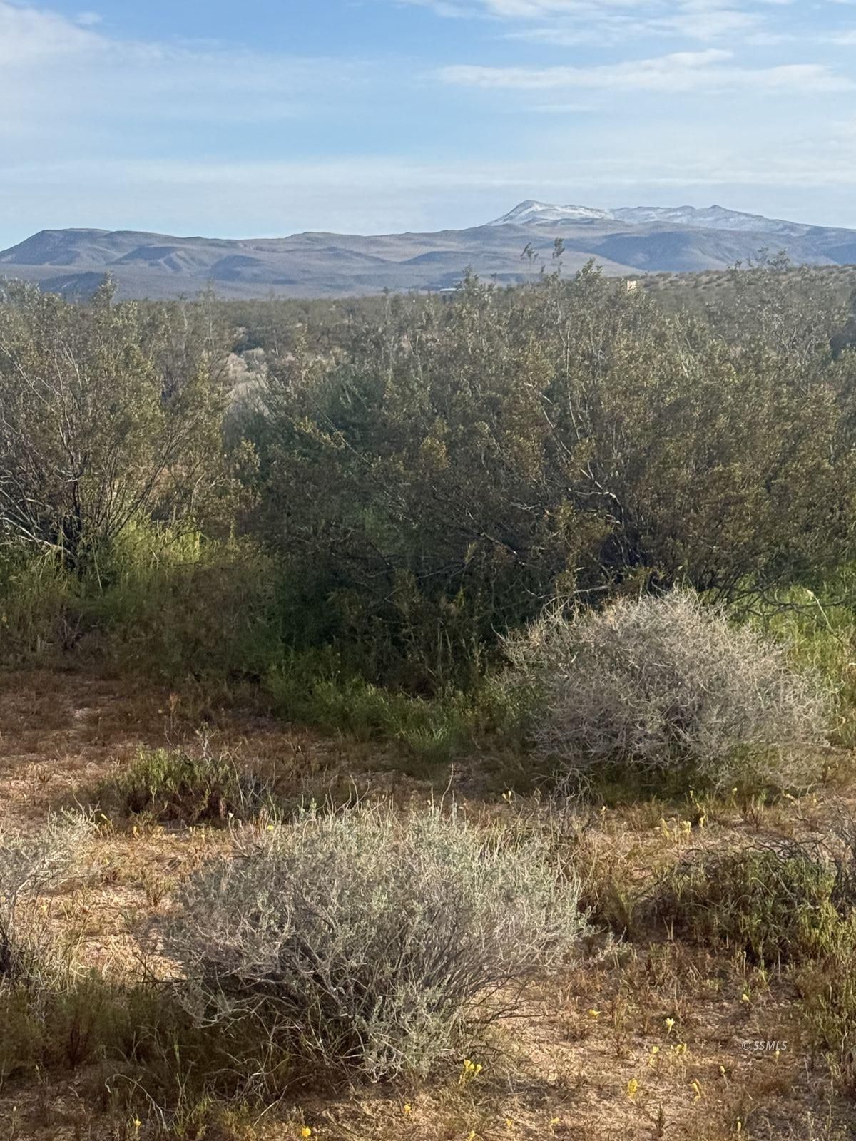 Freeman RD — Photo 4