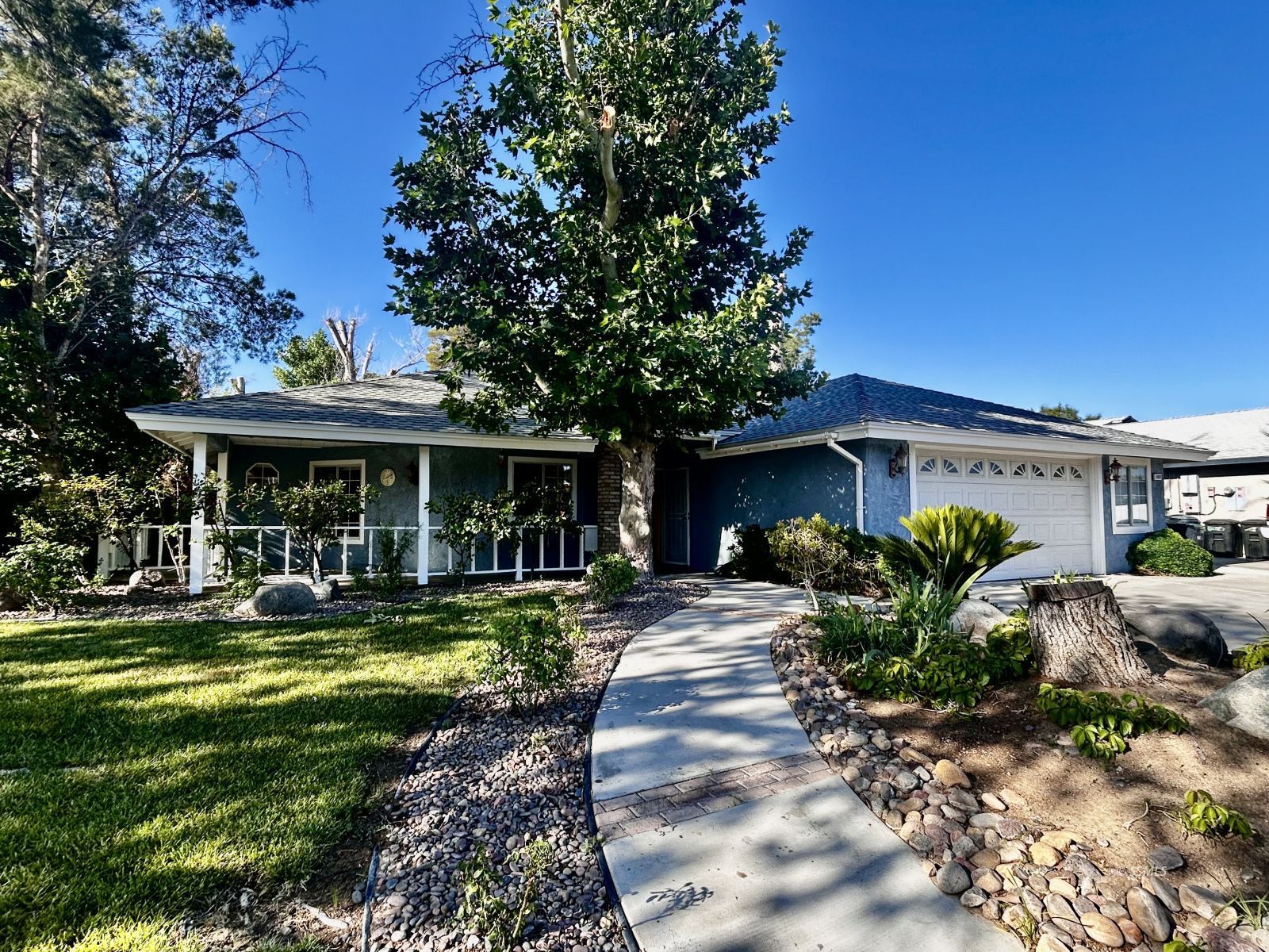1217 Tamarisk — Photo 4