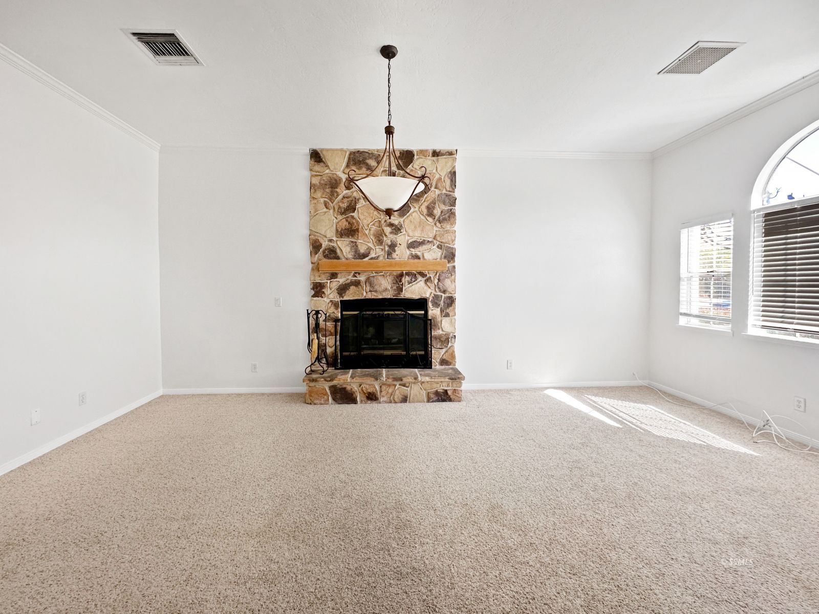 1119 Amie CT — Photo 4