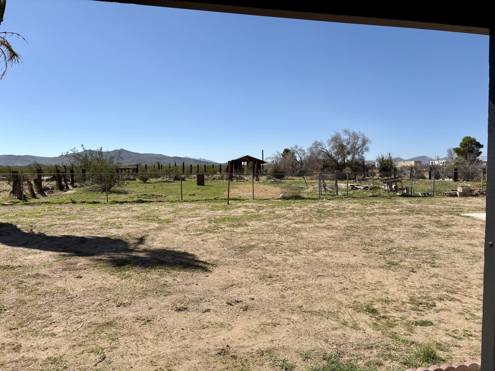 1765 W DOLPHIN AVE — Photo 5