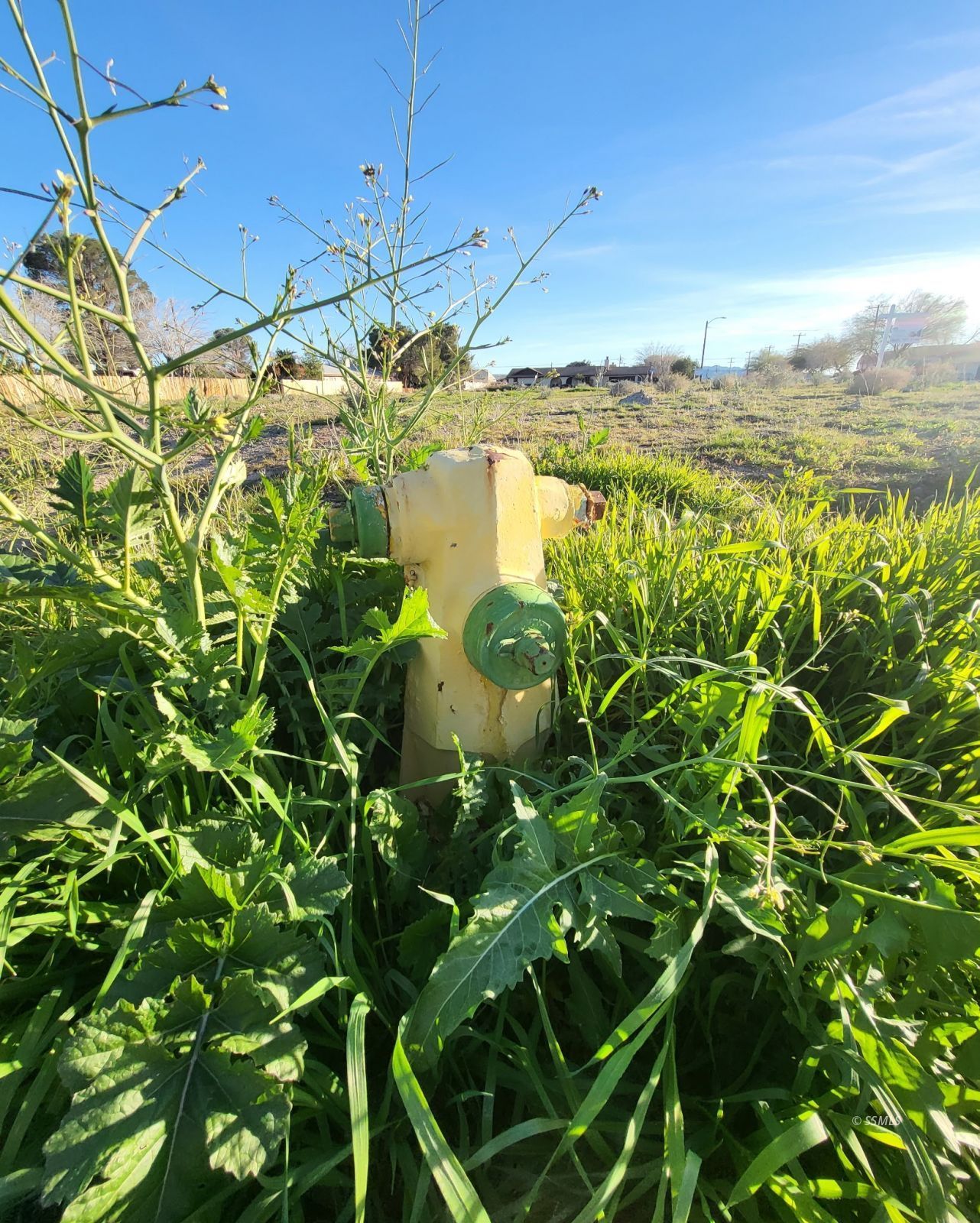 N Downs St. &amp; Perdew Ave. — Photo 5