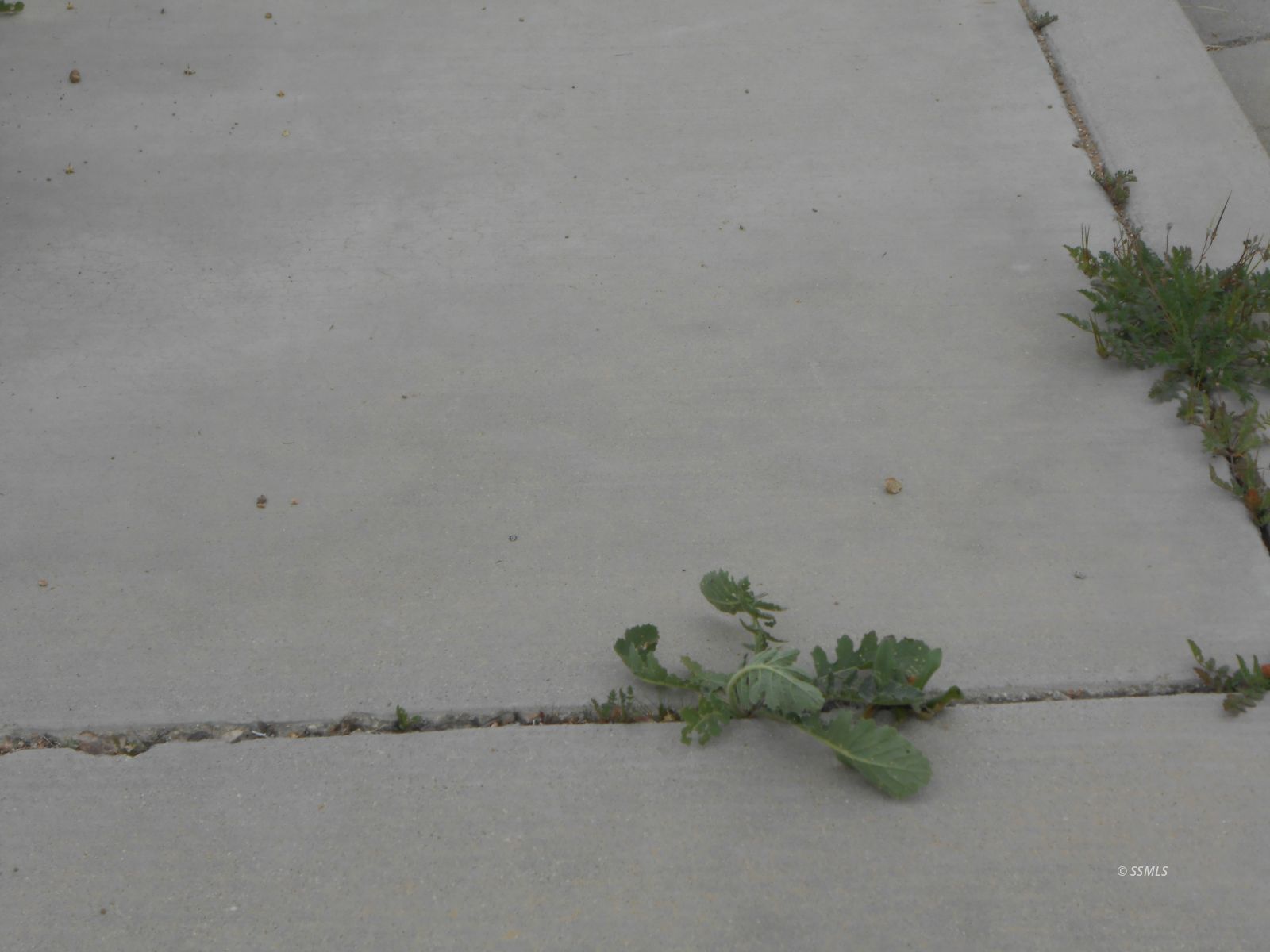 081-103-09 HUGHES AVE — Photo 5