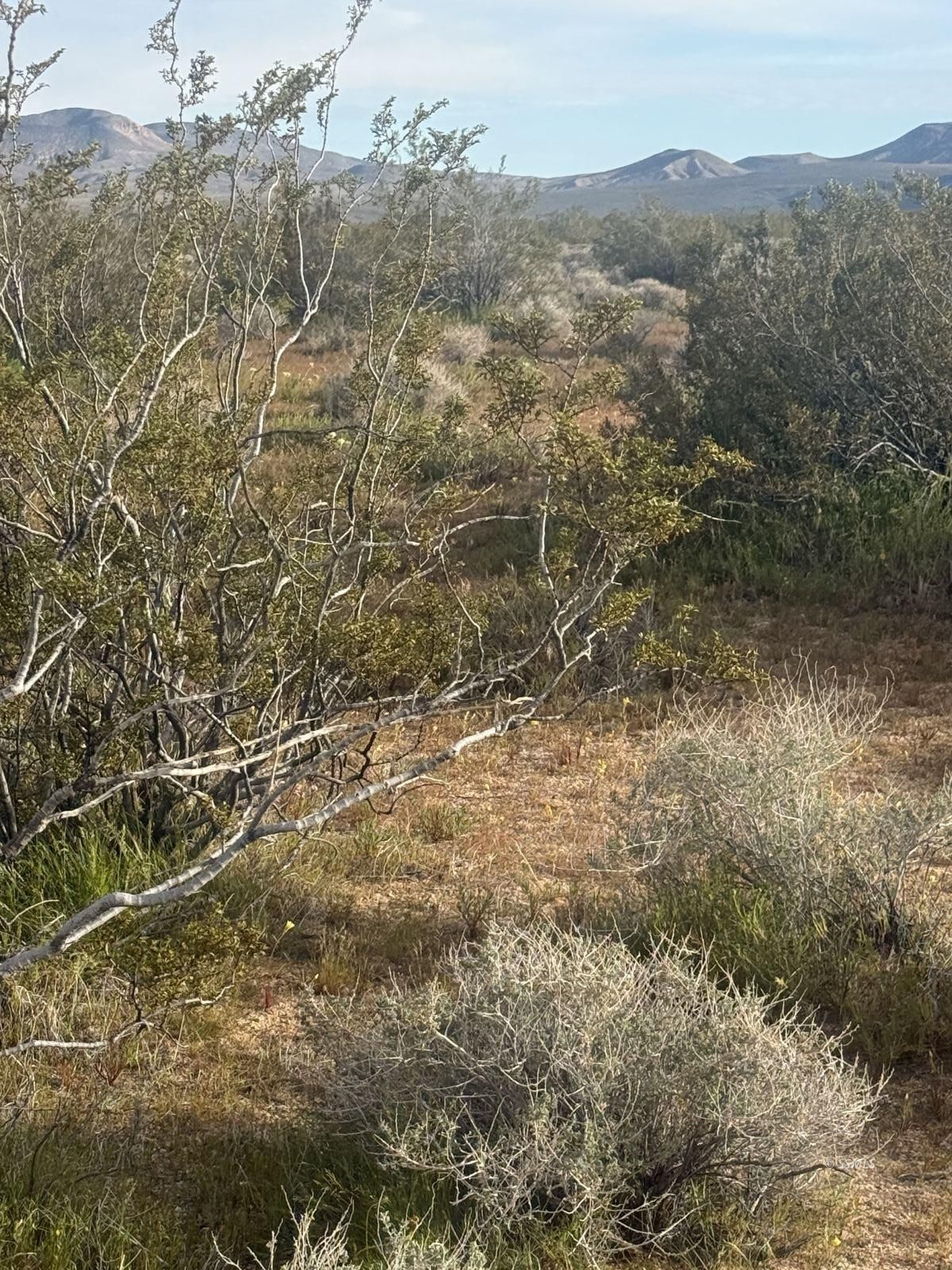 Freeman RD — Photo 5