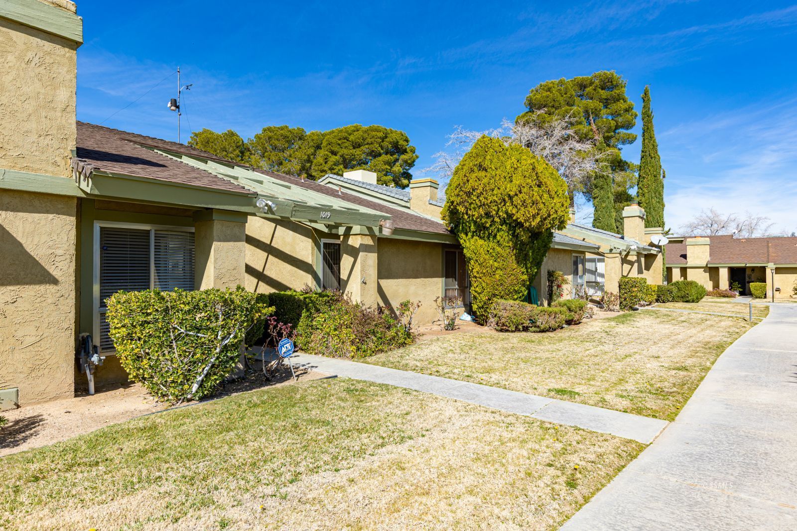 1019 N Norma ST — Photo 5